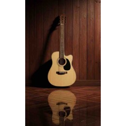  CORT AD880CENAT Elektro Akustik Gitar Parlak Cilalı