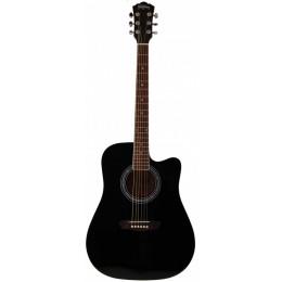 Washburn WA90 Akustik Gitar (4 Renk)
