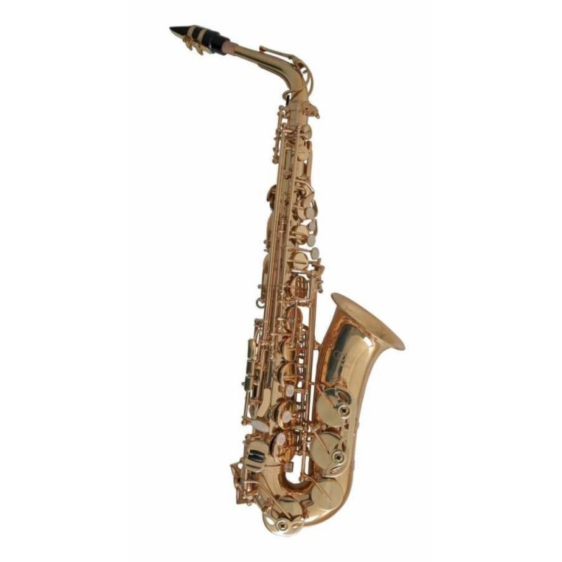 C.G. Conn - Alto Saksafon -  AS501