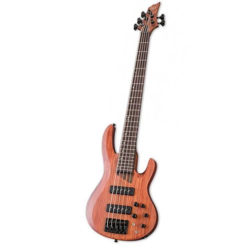 ESP LTD B-1005 SE 5 Telli Bas Gitar
