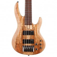 ESP LTD B-205 Spalted Maple Natural Bas Gitar