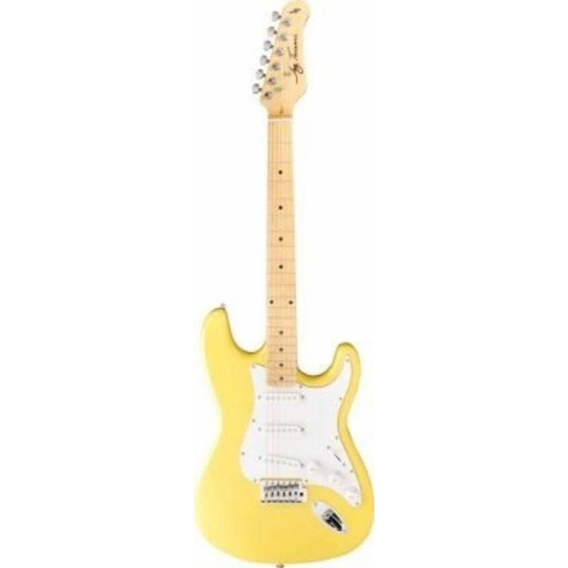 Jay Turser JT-300M-IV Elektro Gitar