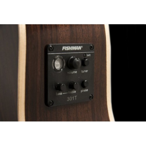 Washburn Woodline 20 Serisi WLD20SCE Elektro Akustik Gitar