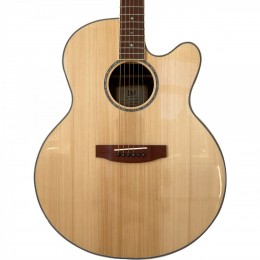 ESP LTD JB-320E Natural Elektro Akustik Gitar