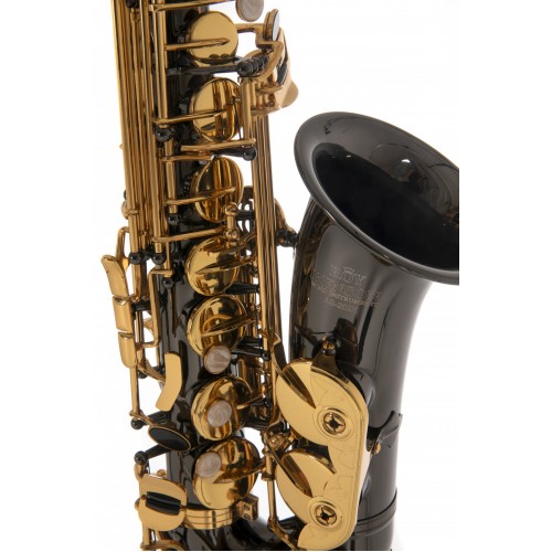 Roy Benson AS-202K Alto Saksafon