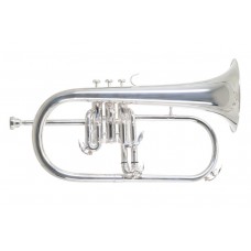 Roy Benson FH-302S Bb-Flugelhorn