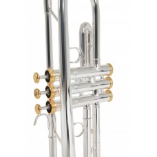 Roy Benson TR-CGS Charlie Green Signature Trompet