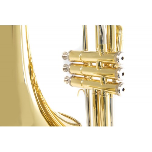 Roy Benson VT-227 Pistonlu Tenor Trombon