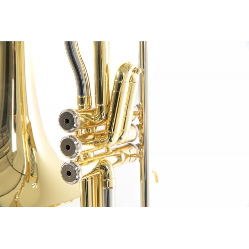 Roy Benson VT-227 Pistonlu Tenor Trombon