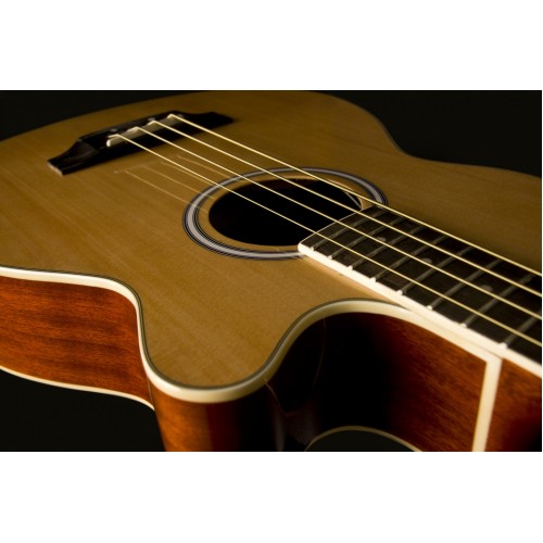 Washburn AB5K Elektro-Akustik Bas Gitar